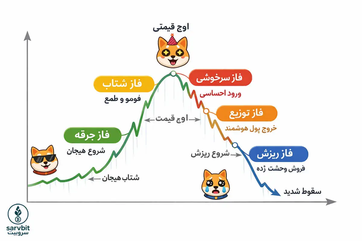 نمودار چرخه رشد و ریزش میمکوین با فازهای جرقه، شتاب، سرخوشی، توزیع و ریزش