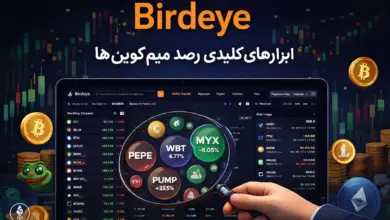 تصویر آموزش سایت birdeye برای رصد میم کوین ها و بررسی توکن های ترند با ابزارهای تحلیلی