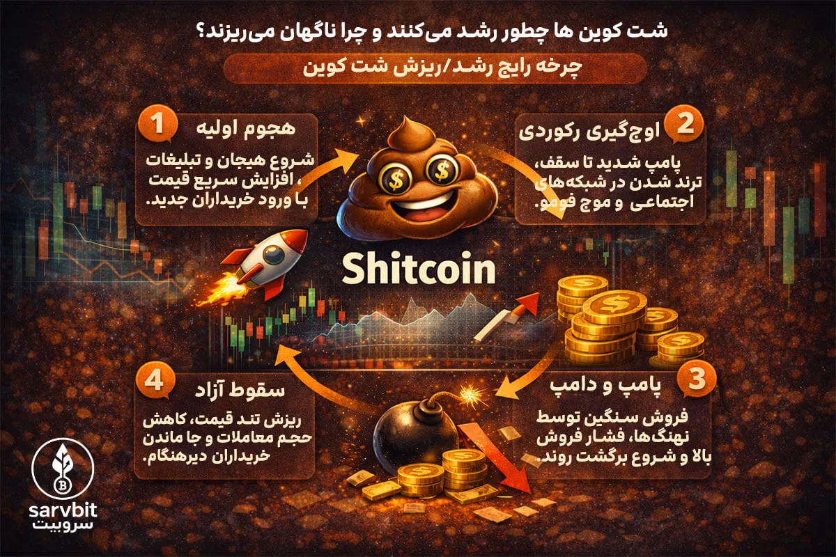 اینفوگرافیک چرخه رشد و ریزش شت کوین؛ از هجوم اولیه تا پامپ و دامپ و سقوط آزاد