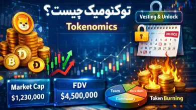 تصویر مفهومی آموزش «توکنومیک چیست» با نمایش معیارهای کلیدی مثل مارکت کپ، FDV، تخصیص توکن و وستینگ در بازار ارز دیجیتال